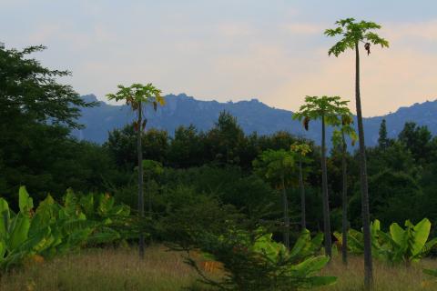 Scenery